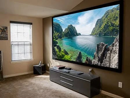 Dragonfly Projection Screens