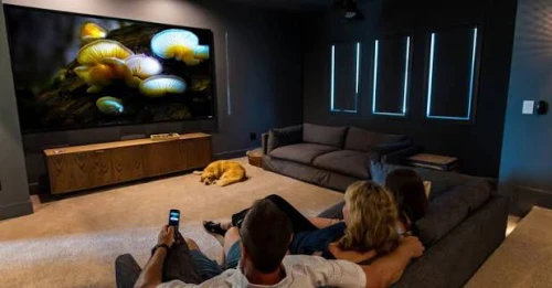 Da-Lite Projection Screens