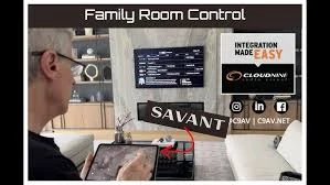 Savant