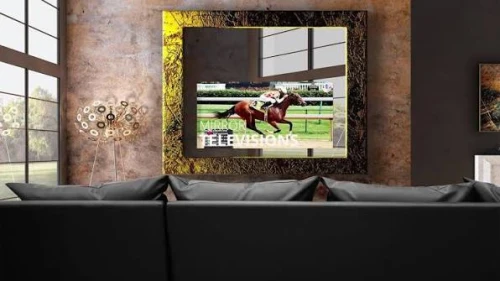 VideoTree Outdoor TVs