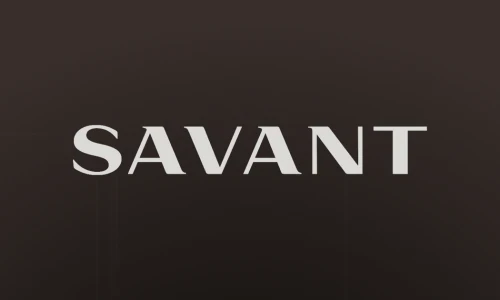 Savant Window Shading