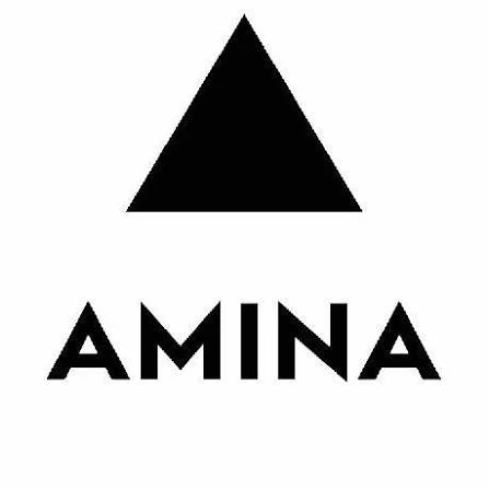 Amina Invisible Speakers