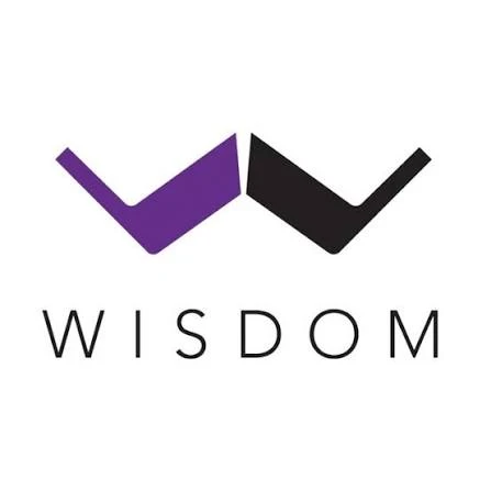 Wisdom Audio Speakers
